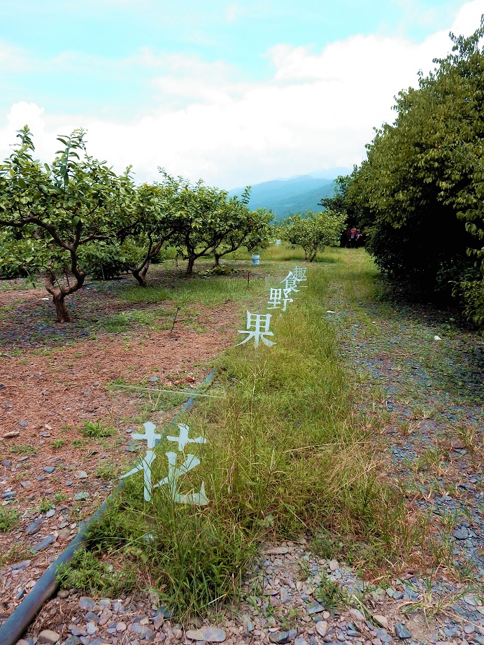 105年6月29日農業綠色旅遊培訓暨遊程體驗輔導工作坊第一天活動照片-台灣生態教育農園協會