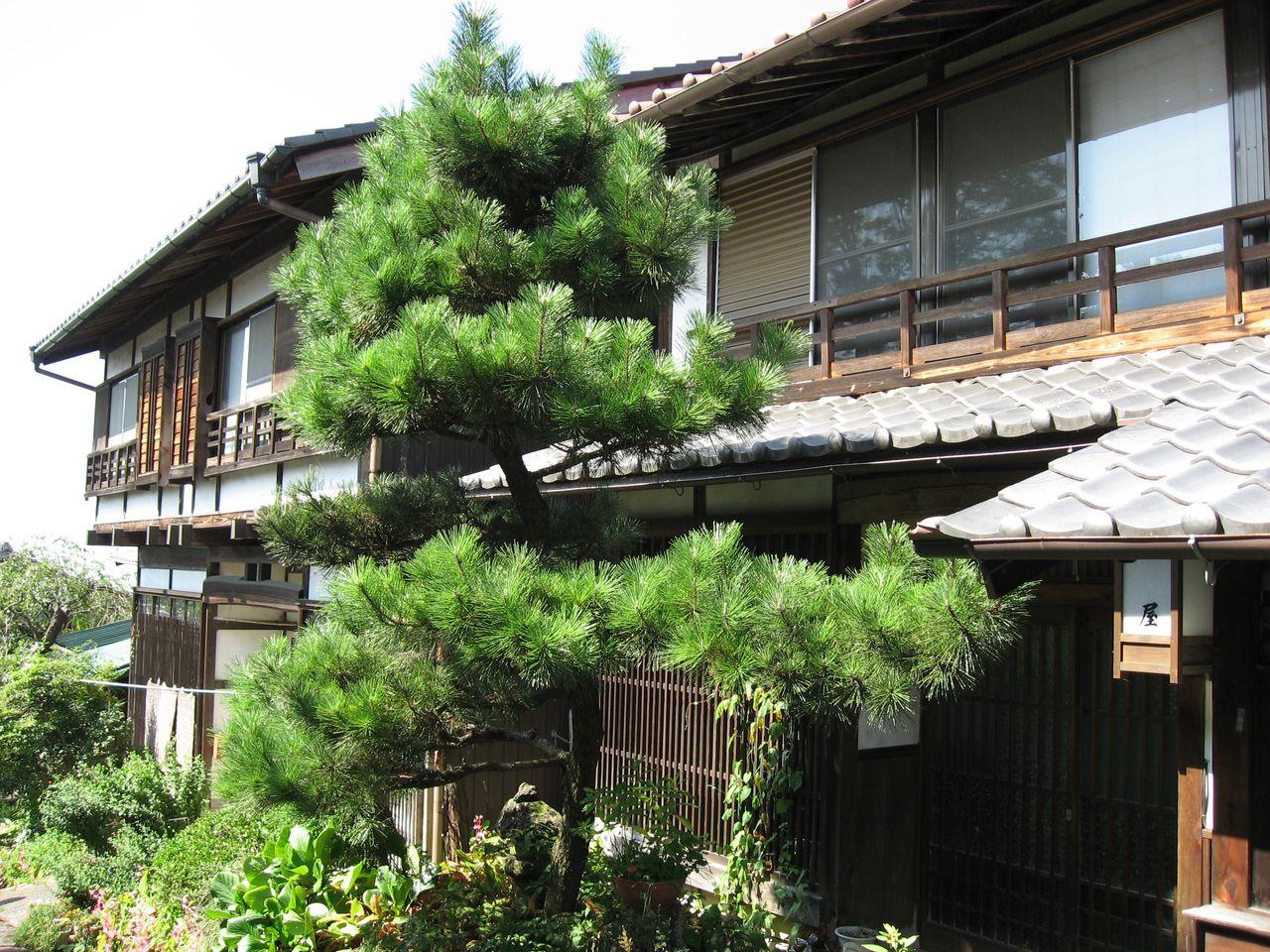 102年度日本休閒及生態農場觀摩見學團，敬邀會員踴躍報名參加!!