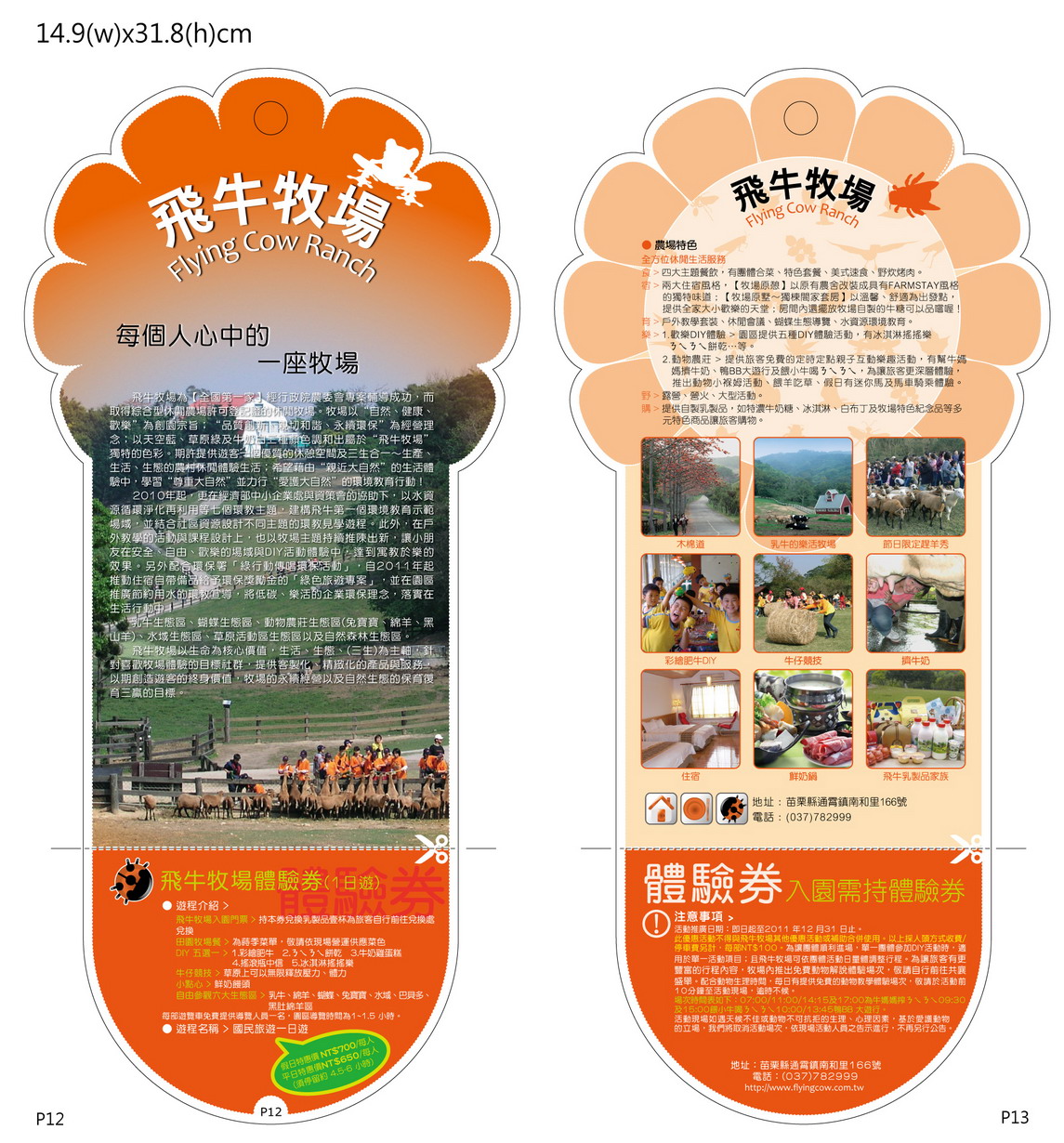 飛牛牧場