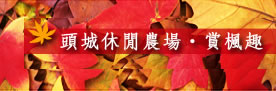 頭城休閒農場 賞楓趣